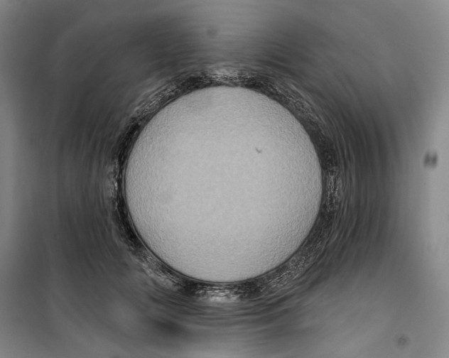 X0000099380702200806051121