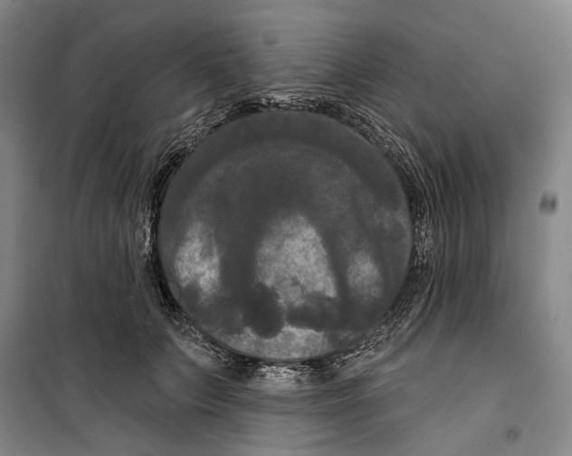 X0000099380703200806051121
