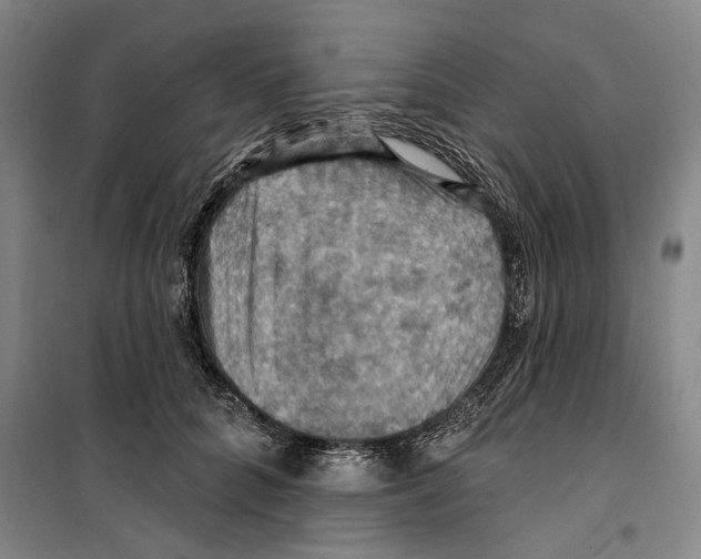 X0000099380704200806051121
