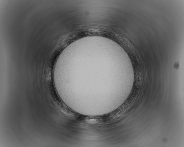 X0000099380706200806051121