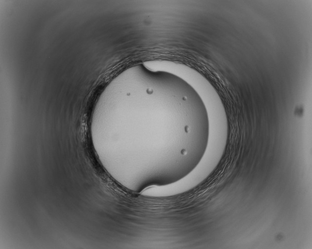 X0000099380707200806051121