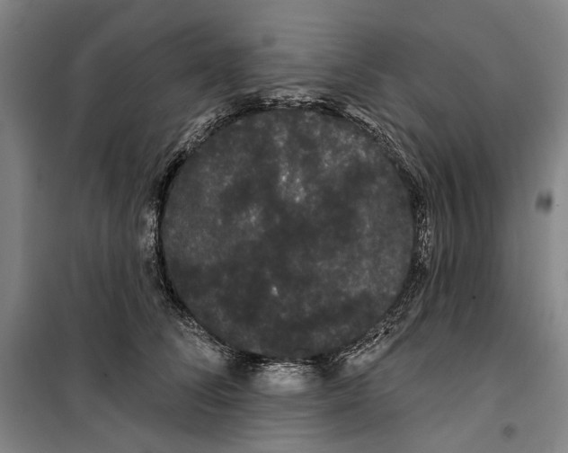 X0000099380708200806051121