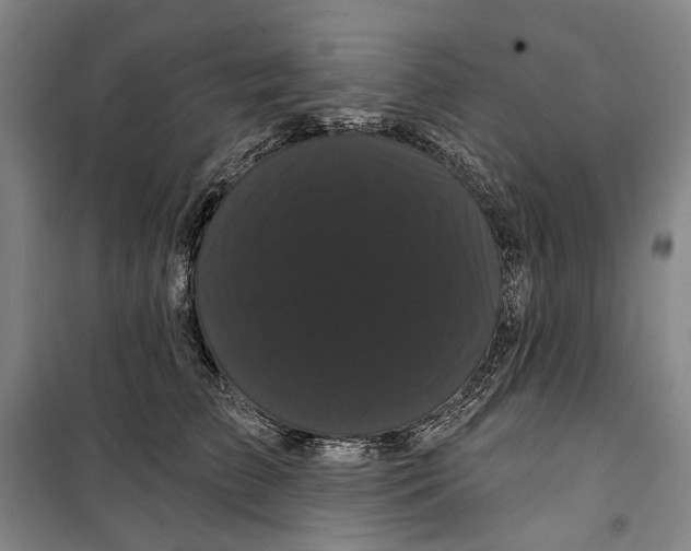 X0000099380709200806051121