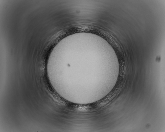 X0000099380710200806051121