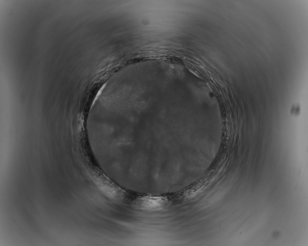 X0000099380711200806051121