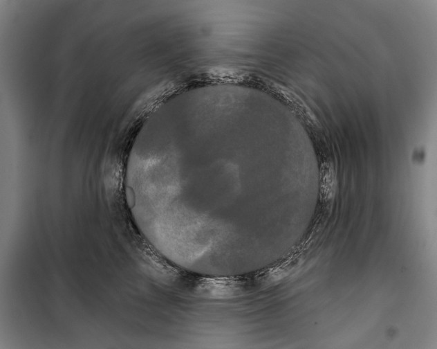X0000099380713200806051121