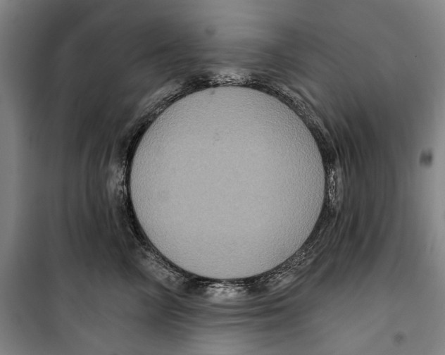X0000099380714200806051121