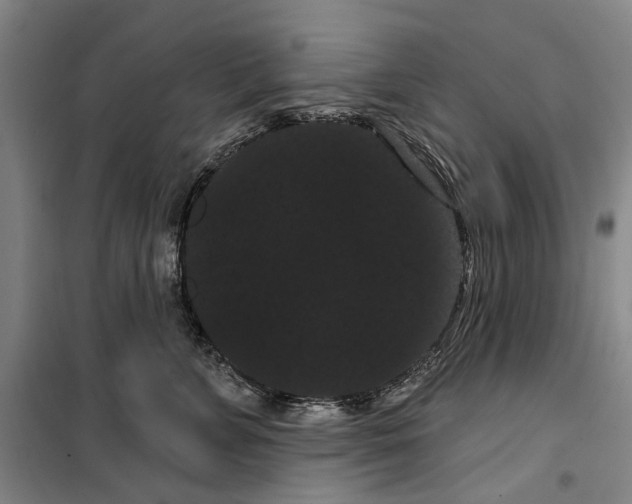 X0000099380715200806051121