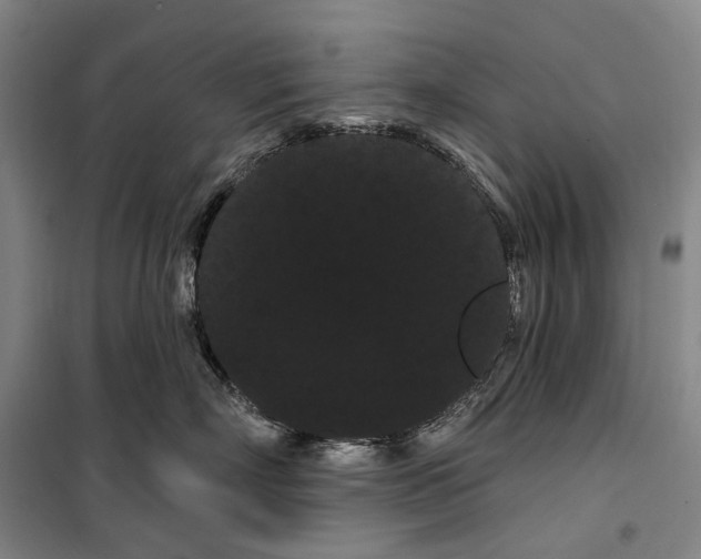 X0000099380718200806051121