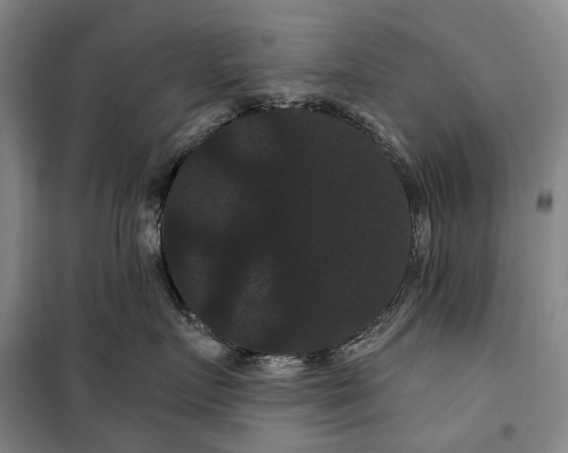 X0000099380719200806051121