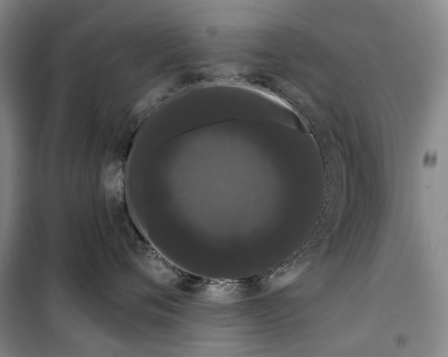 X0000099380720200806051121