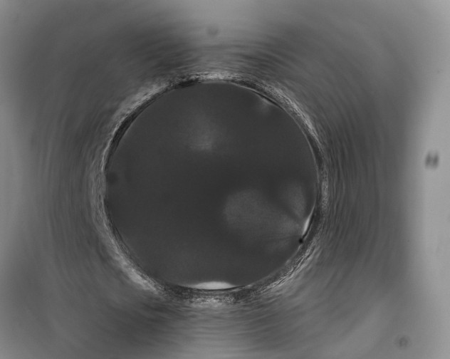 X0000099380721200806051120