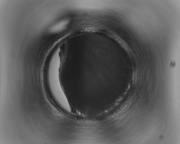 X0000099380722200806051120