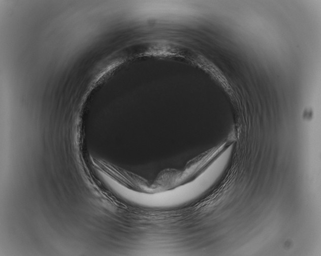 X0000099380724200806051120