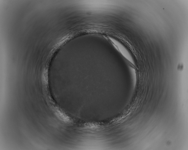 X0000099380729200806051120