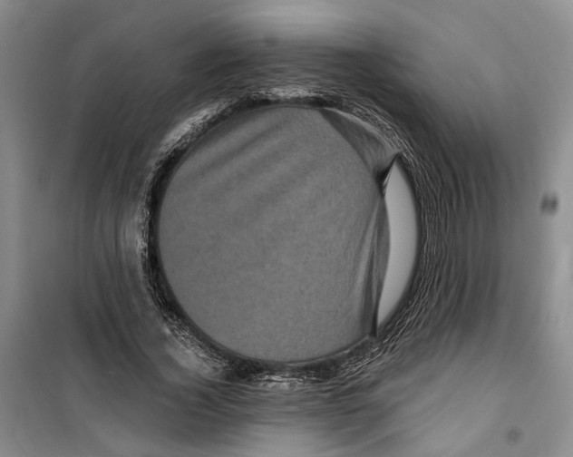 X0000099380732200806051120