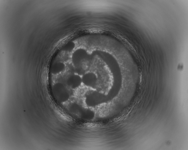 X0000099380733200806051120