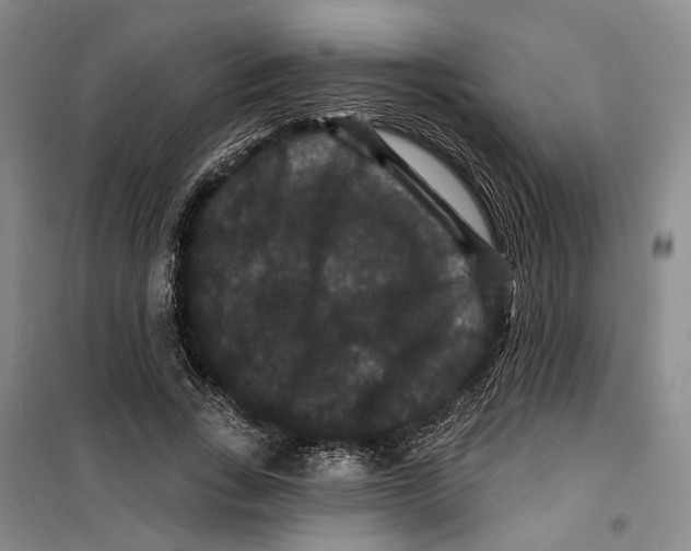X0000099380735200806051120