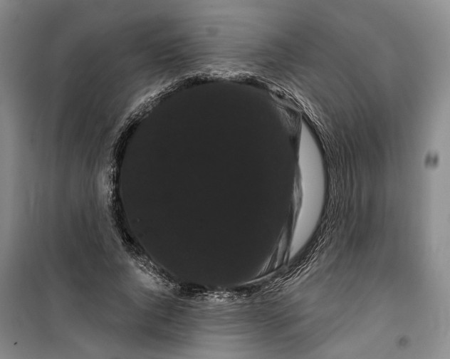 X0000099380736200806051120