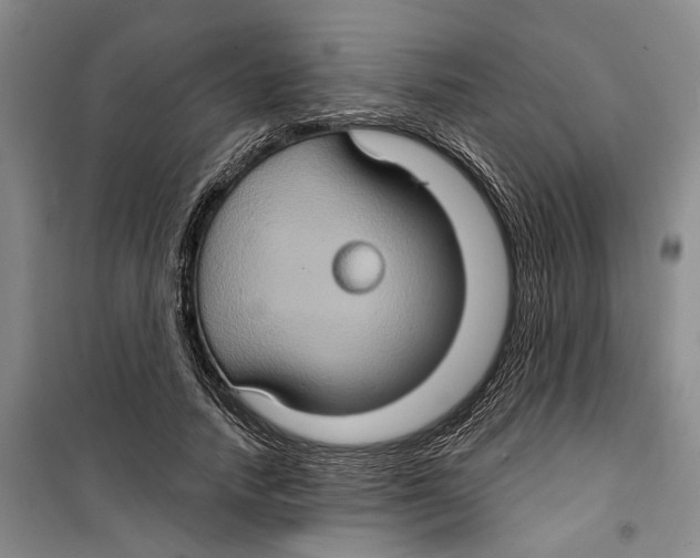 X0000099380738200806051120