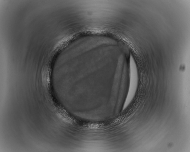 X0000099380740200806051120
