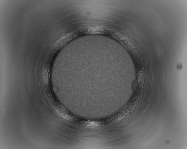 X0000099380741200806051120