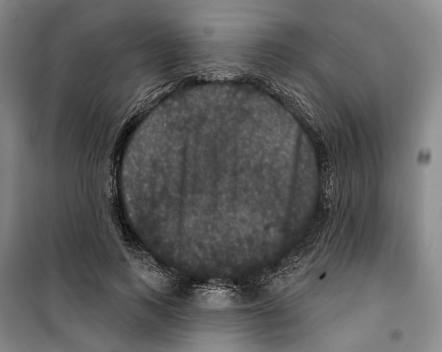 X0000099380743200806051120