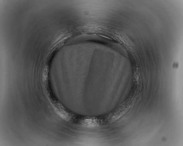 X0000099380744200806051120