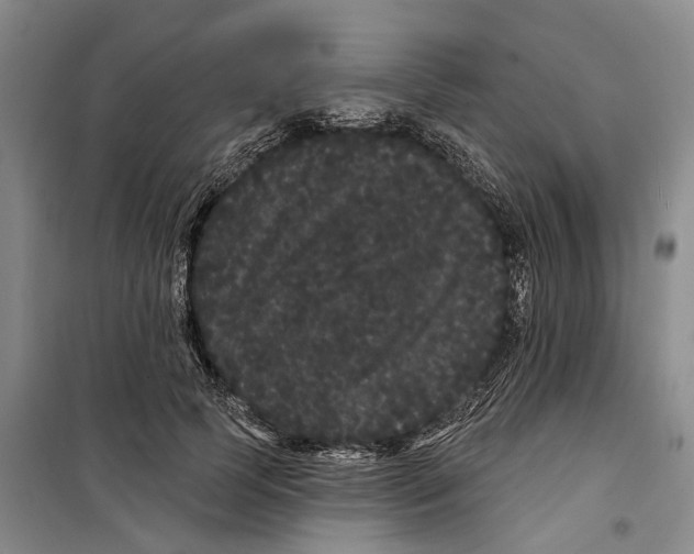 X0000099380745200806051120