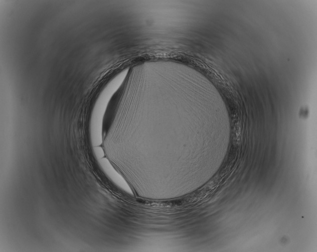 X0000099380746200806051120