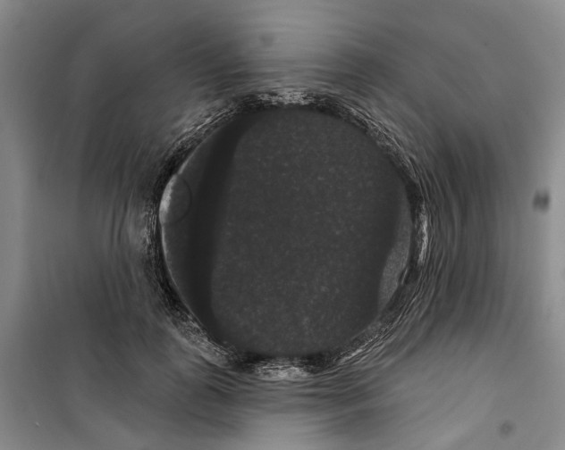 X0000099380747200806051120