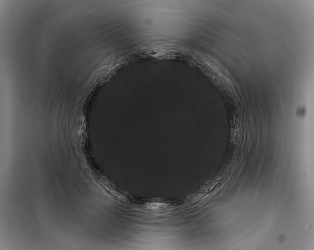 X0000099380748200806051120
