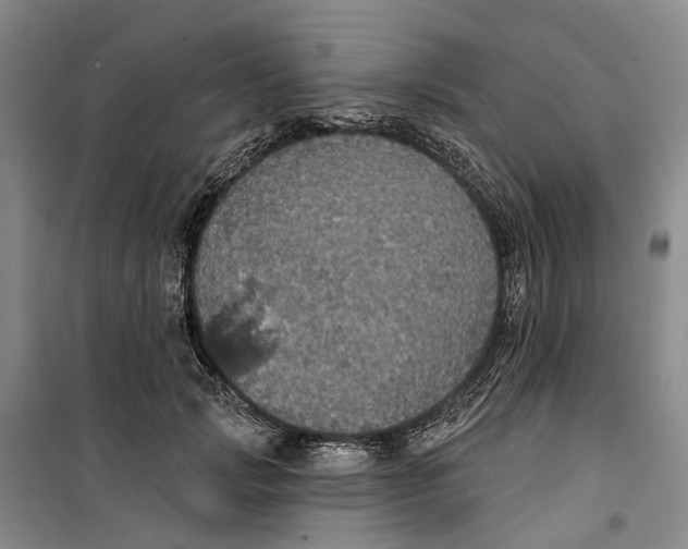 X0000099380749200806051120