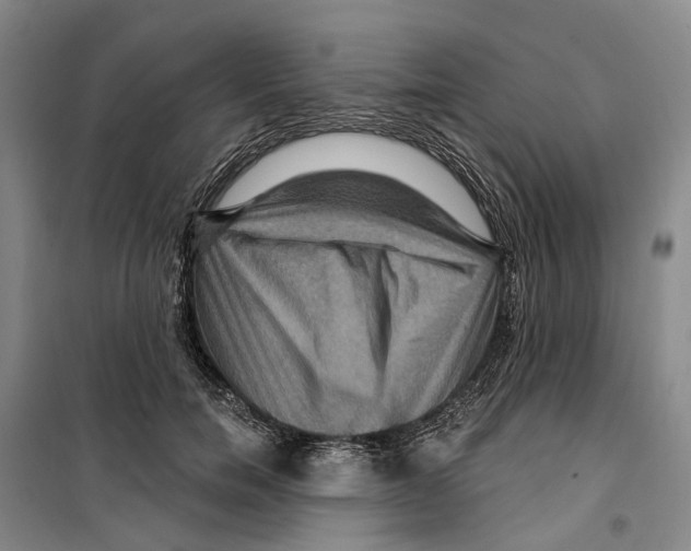 X0000099380750200806051120