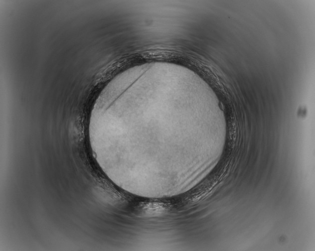 X0000099380751200806051120