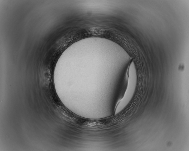 X0000099380752200806051120