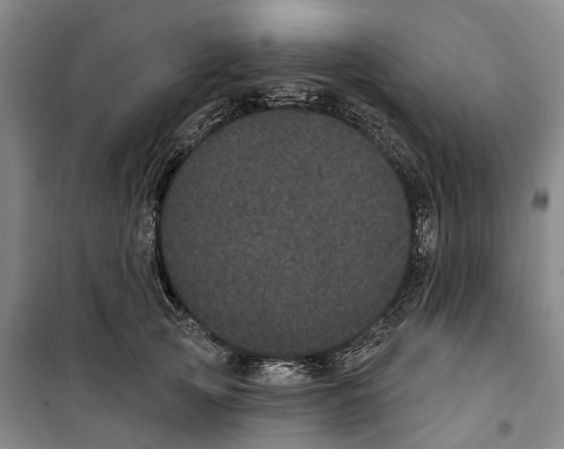 X0000099380753200806051120