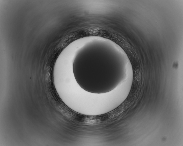 X0000099380754200806051120