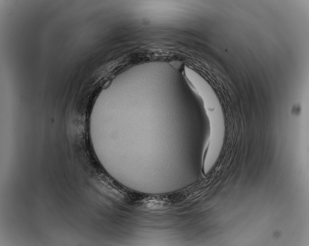 X0000099380756200806051120