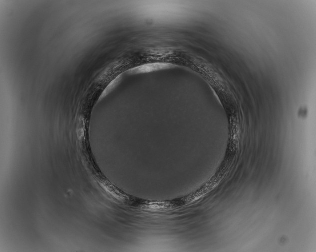 X0000099380758200806051121