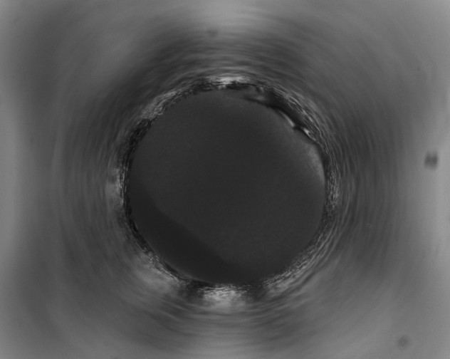 X0000099380759200806051121