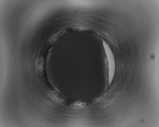 X0000099380760200806051121
