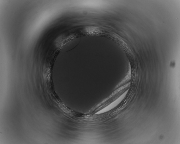 X0000099380762200806051121
