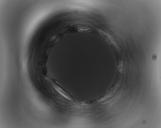 X0000099380763200806051121
