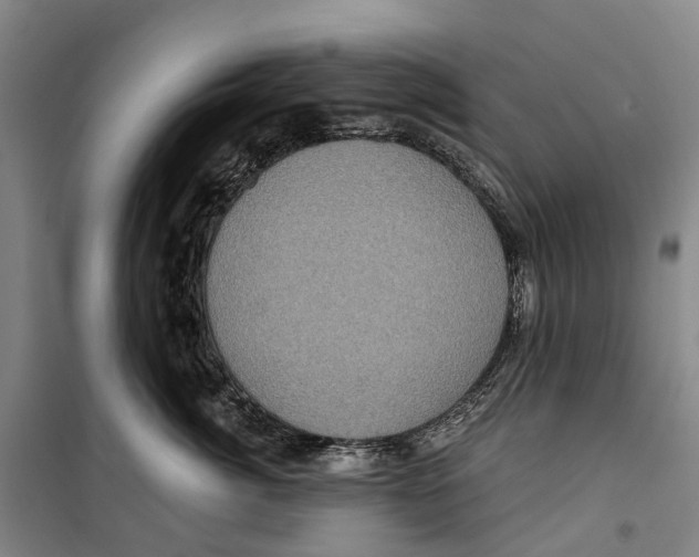 X0000099380764200806051121