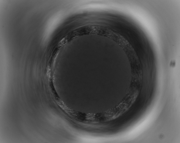 X0000099380766200806051121