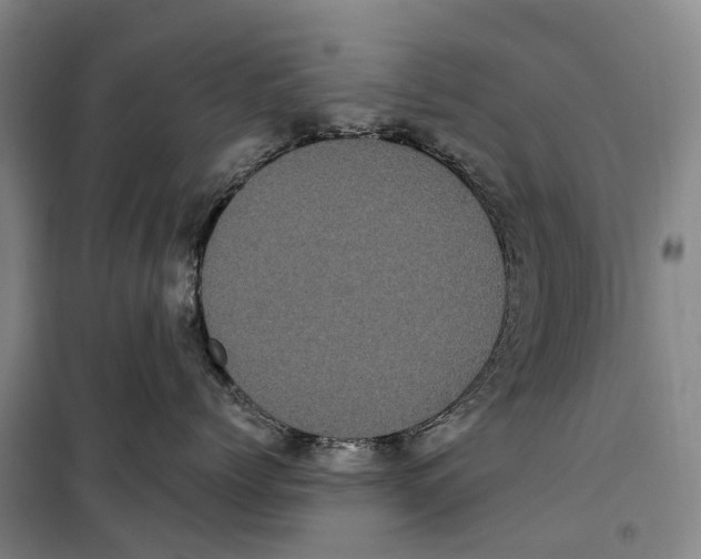 X0000099380768200806051121