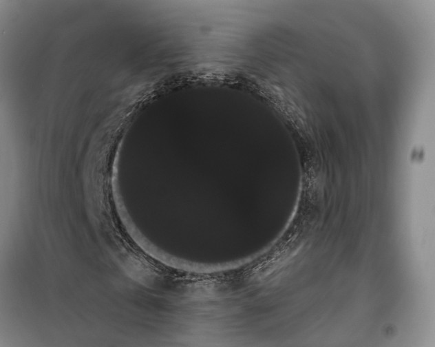 X0000099380769200806051120