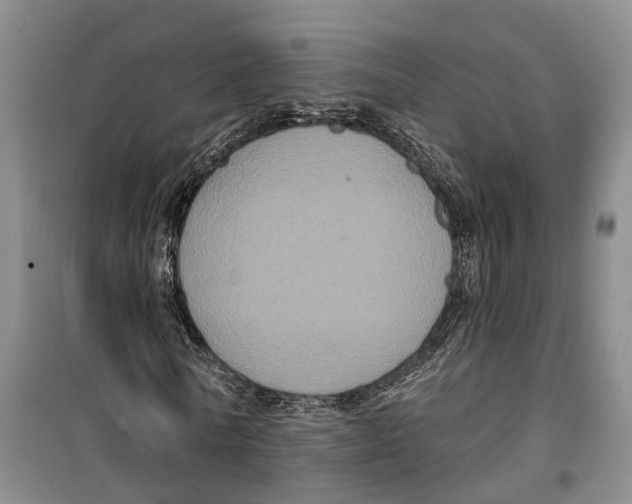 X0000099380770200806051120