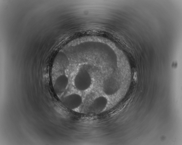 X0000099380771200806051120